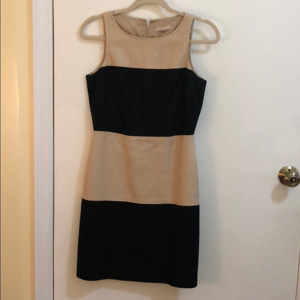 Banana Republic Black & Tan Dress